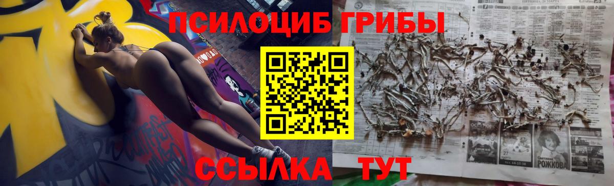 Курган  Псилоцибиновые грибы прущие грибы  Вход с VPN  Псилоцибиновые грибы Cubensis 